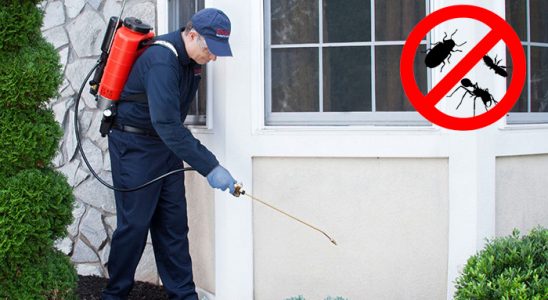 Haliliye Hamam Böceği İlaçlama böcek ilaçlama ve haşere kontrolü — ilaclama-tr.com